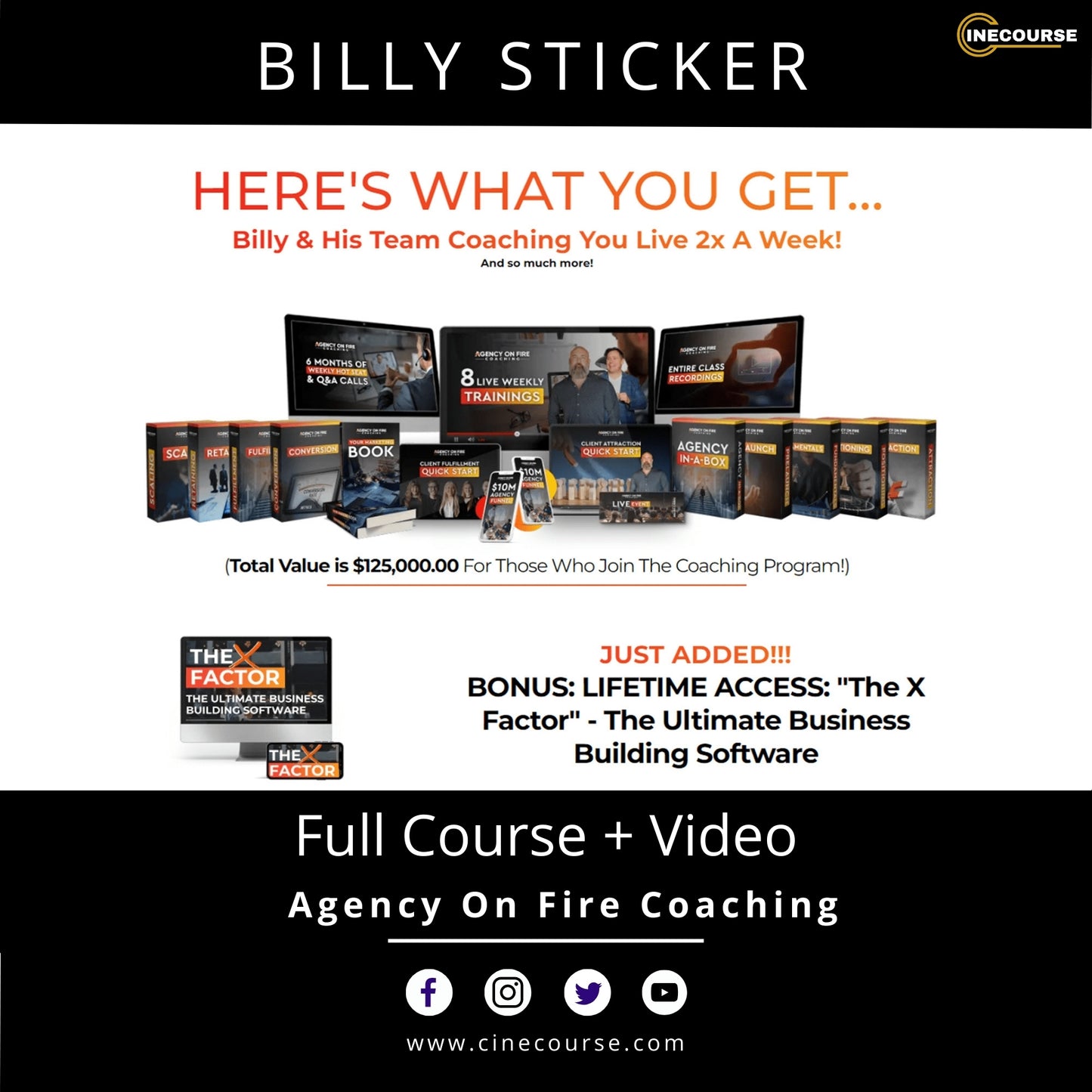 Billy Sticker – Agency On Fire Coaching [2024] (Full Course + Video) – Build & Scale Your Marketing Agency | Lifetime Updates
